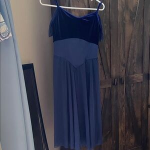 Elegant Blue Velvet Dress